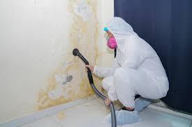 Trusted Hometown, PA Mold Removal Experts